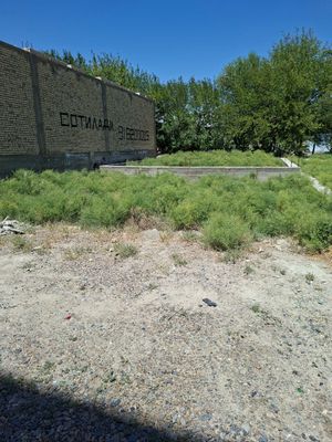 yersotiladi arentr kamolotdomlar yonida
