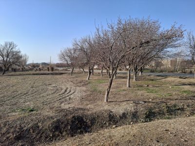 Yer sotiladi Buxoro viloyat shofirkon tuman
