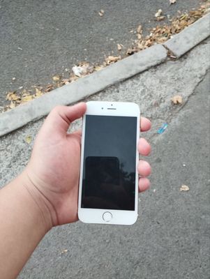 iPhone 6