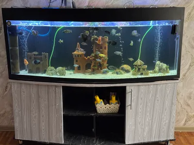 Продам Аквариум 450 литров