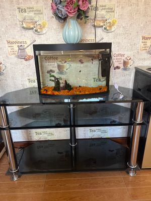 akvarium
