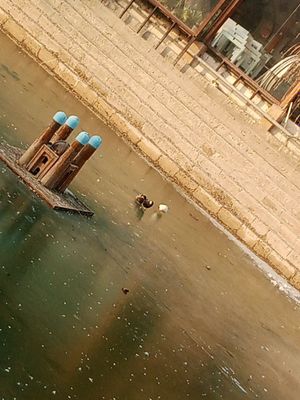 Эски Шахарда 2та Холи 120000&
