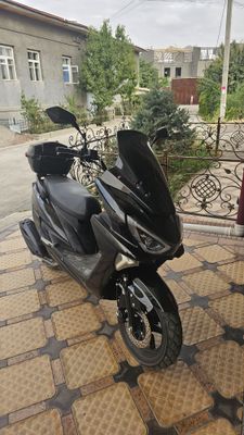 Skuter tiger holati yaxw