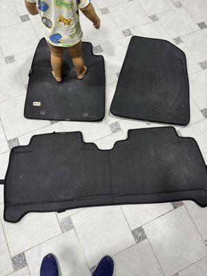 Byd seagull ga polik