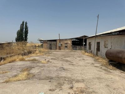 Продается земля Тойтепа