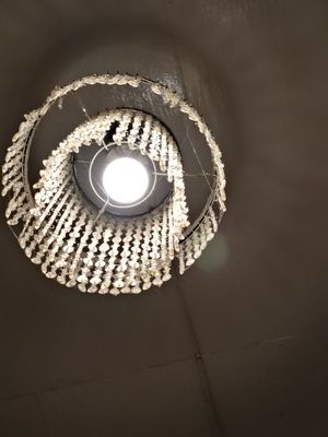 Льюстралар сатылады