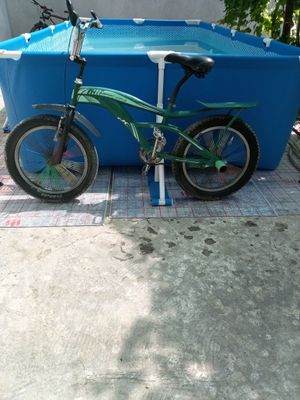 valasafed narxi 6000 so'm