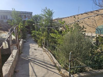 Oazisdan hovli tez sotiladi