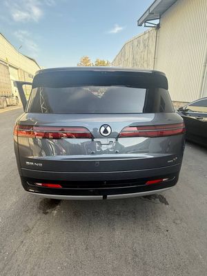 Denza N9 flagship