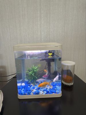 akvarium va baliqlar sotiladi