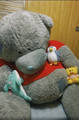 Teddy 2metr original