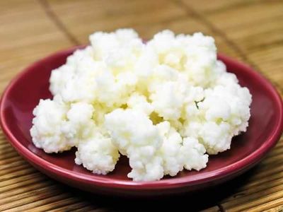 Кефирный (молочный/Тибетский) гриб