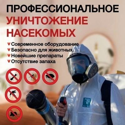 Профессиональное уничтожение насекомых качества дезинфекция