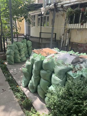 Sheben, arzonga berib yuboramiz, Beruniy metroda