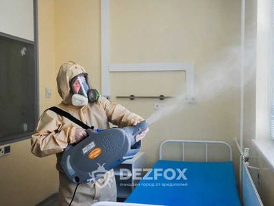 Дезинфексия Уничтожение Клопов Обработка От Тараканов Крыс Мышей Вши