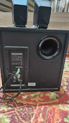 Самбуфер microlab