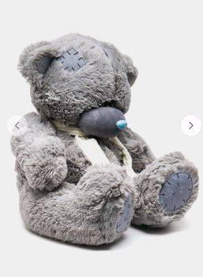 Teddy bear