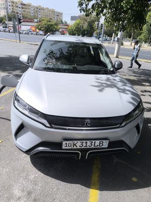 SROCHNA BYD yuan up 2024 yil