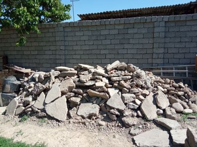 Biton tekinga beriladi