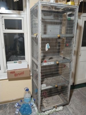 Валер клетка  2000х600х500  тел983023676