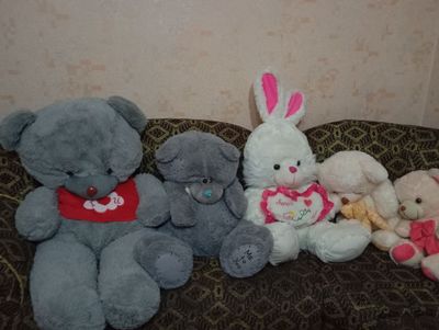 Teddy Ayiqchalar Sotiladi