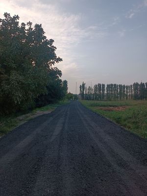 Asfalt qirndisi tokamiz