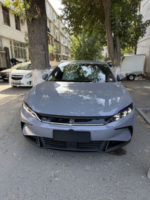 Natarius BYD HAN 701 km smart
