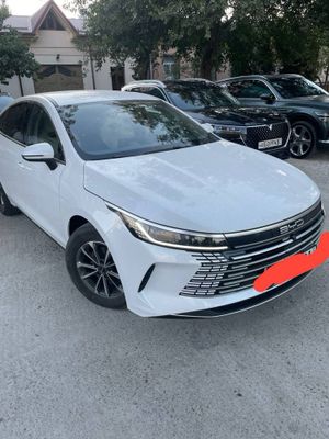 Byd chazor kraskasi tozza