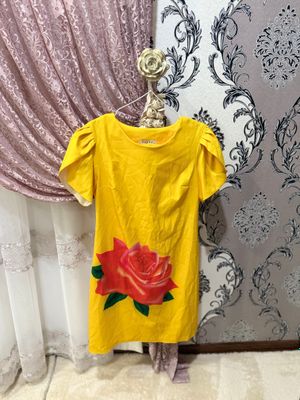 Ayollar koʻylagi