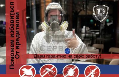 Dezinfeksiya Дезинфекция уничтожение клопов тараканов klop klapa ilon