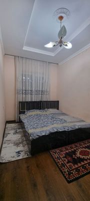 Аренда квартира Срочно Кушбеги Супер Нарх