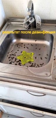 Скидка 10% Дезенфекция дизенфекция дезинфекция дизинфекция dizinfeksiy
