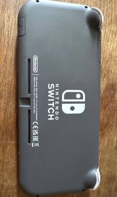 Nintendo switch lite