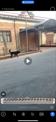 Algaritmda 450,000somga ogil bolalar olinadi