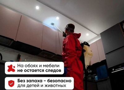 Дезинсекция насекомых-дезинфекция в ташкенте-клопы-тараканы-блохи