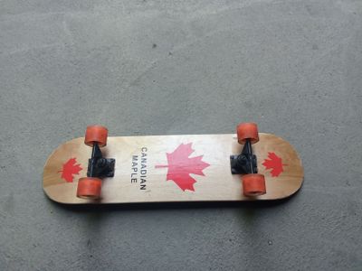 Skateboard kattalar uchun