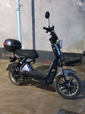 Drongo skuter sotiladi