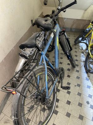 Velosiped srochno
