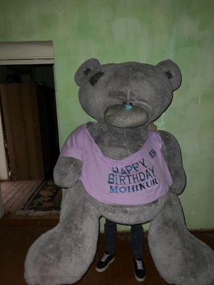 Teddy ayiq eng kottasi sotiladi narxini kelishtirib bervoraman