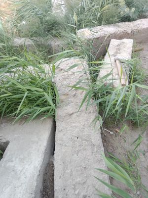 Beton beriladi bepul