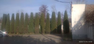 Дурмень . Махалля саниф 33 сотки . Есть большое здание