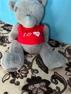 Teddy ayiq sentabrda olingan yangi