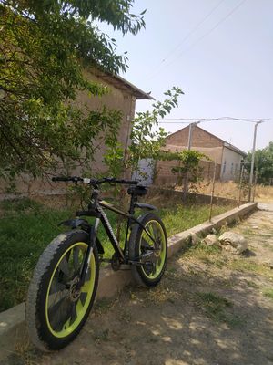 velik