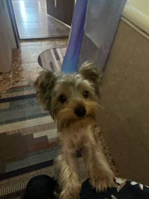 Наш мальчик ищет новую любящую семью
