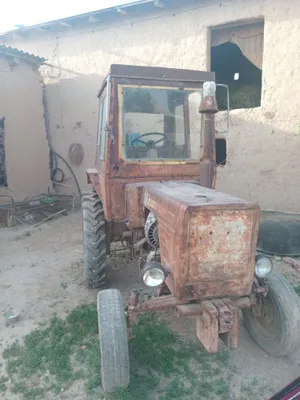 Uzm kafolat beraman.Hamma joying yaxshi