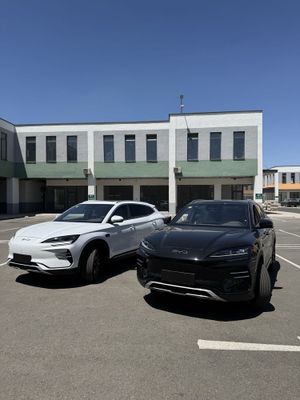 BYD chempion smart 2025