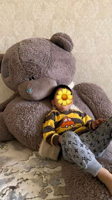 teddy ayiq kaattaa