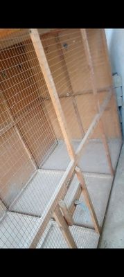 Катак сотилади коттагина