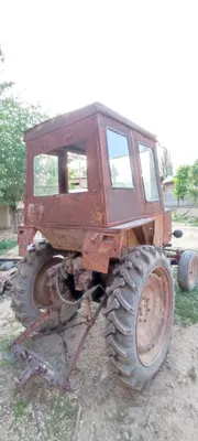 T25 1981-yil Dakumenti bor