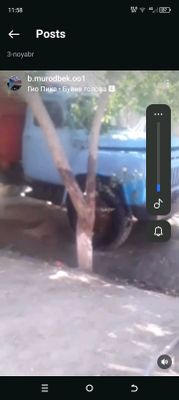 moshin sotiladi